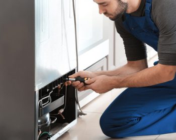 Important Things About Appliance Repair Services